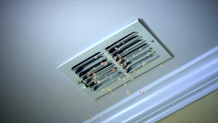 Best Ventilation Cleaning Services  in Waterman, IL