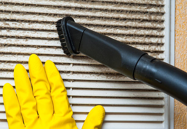 Best Duct Cleaning for Homes  in Waterman, IL